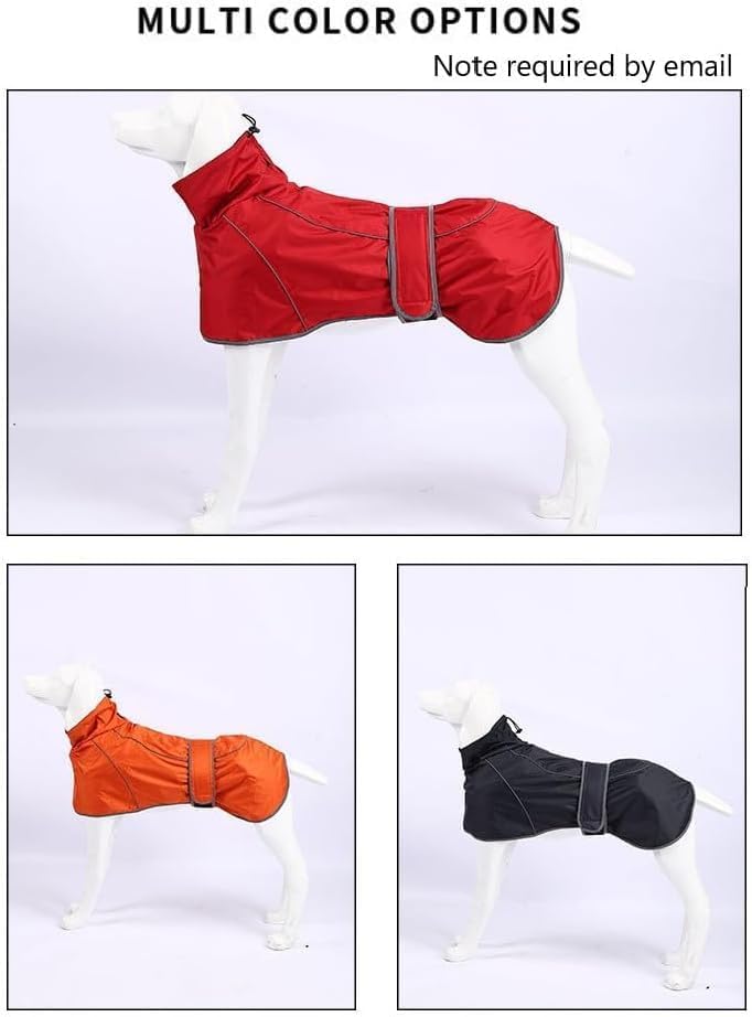 Impermeable para perros reflectante para solucionar paseos con lluvia y viento 4