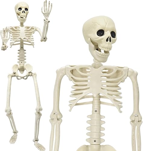 Decoración de esqueleto de Halloween de 36 pulgadas, 3 pies de cuerpo completo humano realista, articulaciones, articulaciones, huesos humanos de