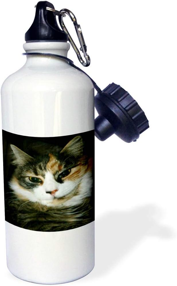 3dRose "Calico Cat Closeup" Sports Water Bottle, 21 oz, White