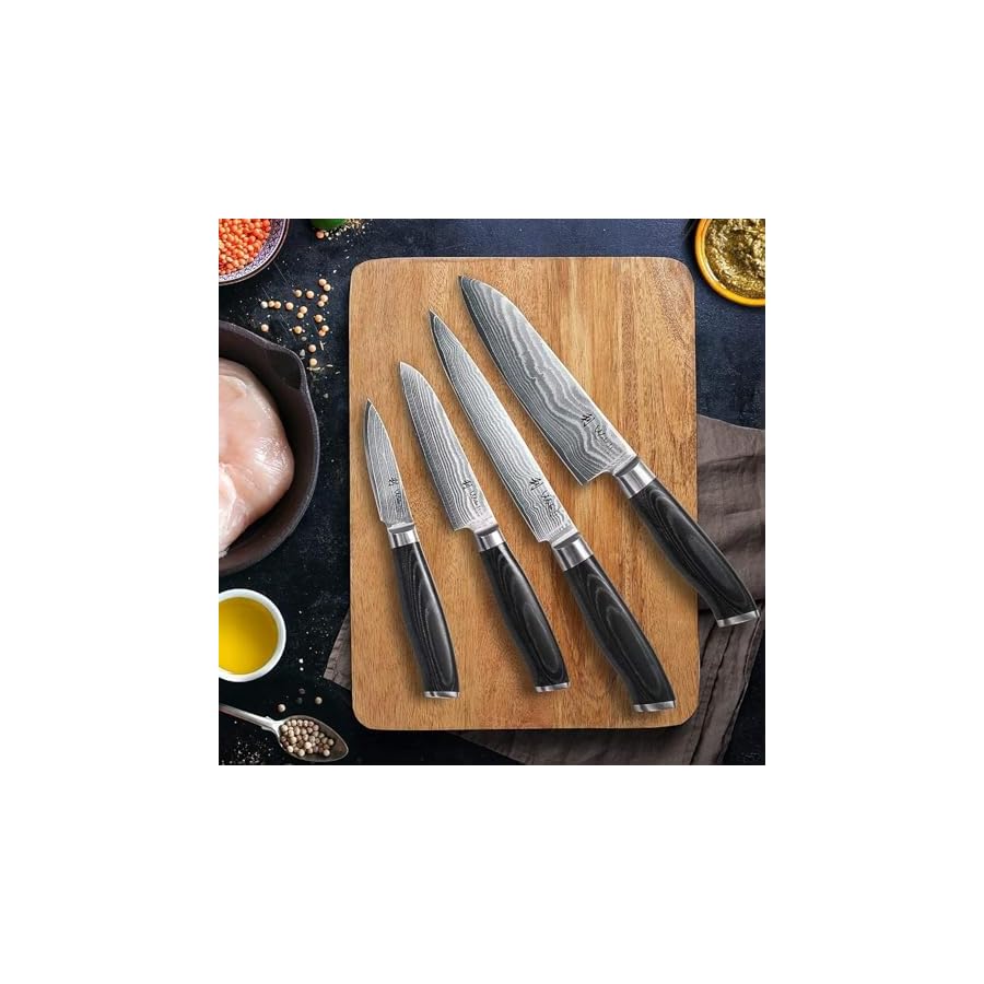 Wakoli 4 Piece Professional Damascus Kitchen Knife Set, Made of 67 Layers of Genuine Damascus Steel with VG10 Core, Chef's Knives Set with Ergonomic Micarta Handles for Precision and Comfort (MIK)