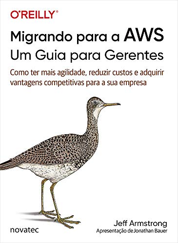 Migrando Para a AWS - Um Guia Para Gerentes: Como ter Mais Agilidade, Reduzir Custos e Adquirir Vantagens Competitivas Para a sua Empresa