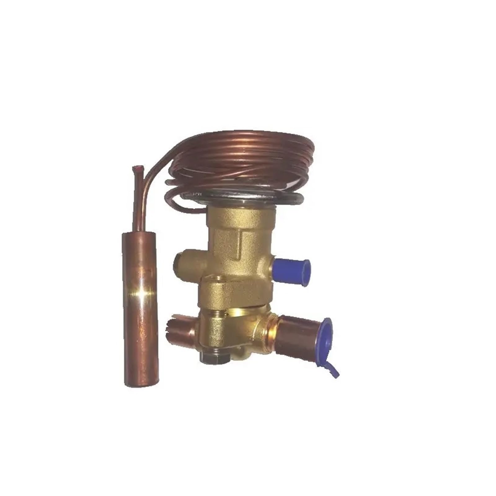 Amazon.com: Aoleaby XB-1019 MW55-1B Stainless Steel Thermal