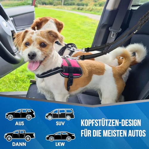 SlowTon Doppelter Anschnallgurt Hund Auto, 2 in 1 verhedderungsfreier langlebiger elastischer Hunde Sicherheitsgurt, Hundegurt mit drehbarem Edelstahl Karabiner für 2 Hunde in der Fahrzeugreise