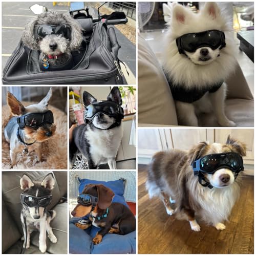 NAMSAN Hundebrille für Kleine Hunde UV-Schutz Hunde Sonnenbrille mit Einstellbar Gummiband Winddichte Hunde Motorradbrille-Schwarz