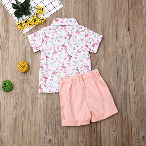 image for VISGOGO Toddler Baby Boy Flamingo Short Sleeve Button Down Shirt & Cas