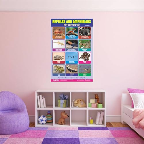 Image of ESCAPER Reptiles Educational Charts for Kids Learning (11.5 x 17.5 Inches), Study Material, Learning Books, Posters