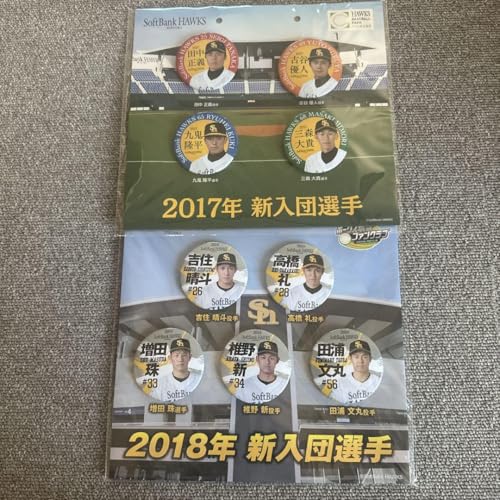 SoftBank Hawks VcI ʃobW 2017N 2018N