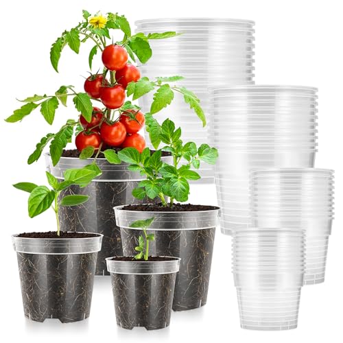 VIVOSUN 40 Packs 3/4/5/6 Inch Clear Nursery Pots with Drainage Holes, Reinforced Plastic Seedling Pots for Plants, Flowers, Cuttings, and Succulents, 40 pcs Plant Labels by VIVOSUN - Used condition - US$15.26