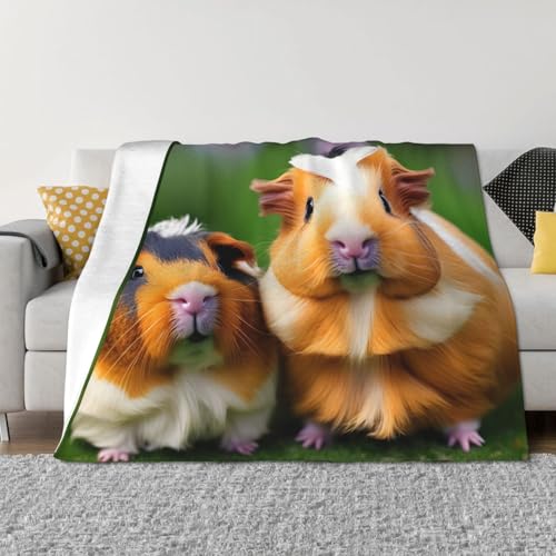 Couverture de lit cochons d'Inde plaid microfibre léger EdWal grand confort