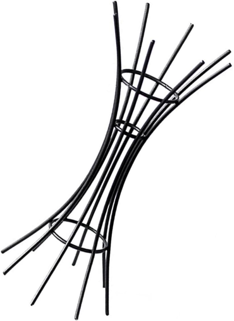Housoutil Air Plant Holder Iron Display Stand for Garden Outdoor Use Black