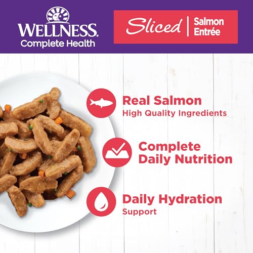 Wellness Complete Health Sliced Adult Wet Cat Food, Natural, Protein-Rich, Grain Free, 3 Ounce, 24 Pack, (Salmon Entrée) - image 2