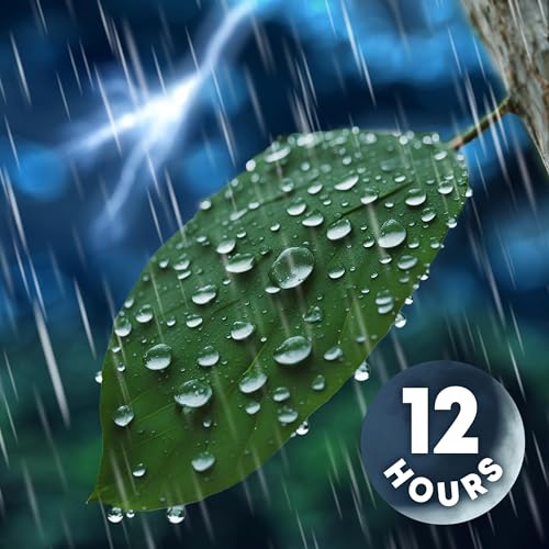 Tropical Rain & Thunder Sounds for Sleeping | 12 Hours