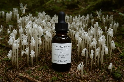 Ghost Pipe Tincture Gift Set Extra Strength Strong Monotropa Flora, 2 oz, Fairy Garden Farms in 3 Bottles(1oz and Two 1/2oz)