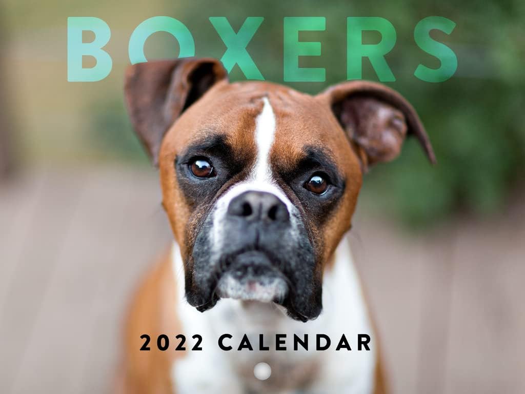 Amazon.com : Boxers 2022 Wall Calendar Cute Funny Dog Breed Boxer Puppies Pets Animal Gift Decor Large 18 Month Calendar Monthly Full Color Thick Paper Pages Folded Ready To Hang Planner Agenda