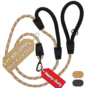 6 Foot Dog Leash, 2 Extra Padded Handles, Heavy Duty No Pull Rope Lead, Lockable Carabiner Clip, Reflective for Night Safety, Durable for Training, Walking, Running, Medium to Large Breeds