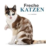 Freche Katzen - Bildband: Süße Kätzchen und freche Katzen, die Samtpfoten festgehalten in vielen schönen Bildern und Texten