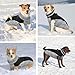 Hjumarayan Hundemantel für Kleine Mittelgroße Grosse Hunde, Hundejacke Warme Hundeweste Wintermantel Hund Wasserdicht Hunde Mantel Gefüttert, Hundemantel Französische Bulldogge (Schwarz M)