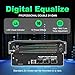 Imagen de Ecualizador DSP Ecualizador Profesional De Audio 31 Bandas con Reducción De Ruido
