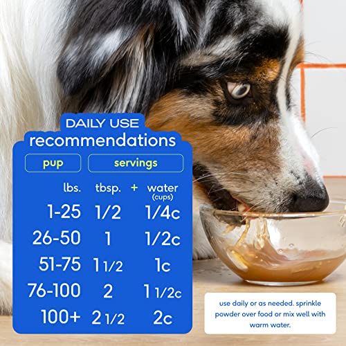 Native Pet Bone Broth For Dogs | Dog Bone Broth & Dog Food Topper For Picky Eaters | Cat Food Toppers | Dog Gravy Topper For Dry Food | Chicken Bone Broth Powder For Dogs | Bone Broth For Cats #TOP5