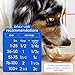 Native Pet Bone Broth for Dogs and Cats - Chicken Bone Broth Powder Dog Food Toppers for Picky Eaters - Provides Extra Nutrition for Joint Strength, Immune Support & Heart Health - 48 Scoops