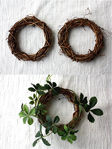 Amazon.co.jp: mini wreath 【ドライフラワー リース台 10cm 2個セット