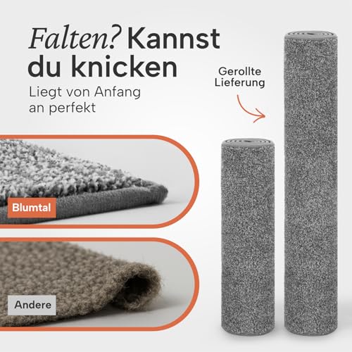 Blumtal Fußmatte 50x80 cm - Mikrofaser Schmutzfangmatte mit wasserdichter TPR-Rückseite - rutschfeste Fussmatte innen - Schmutzmatte aus Hochleistungs-Mikrofaser - Türvorleger in Grau