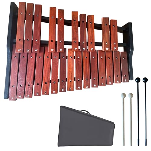 25-Note Portable Xylophone with Two Pairs of Mallets | Professional-Sounding
