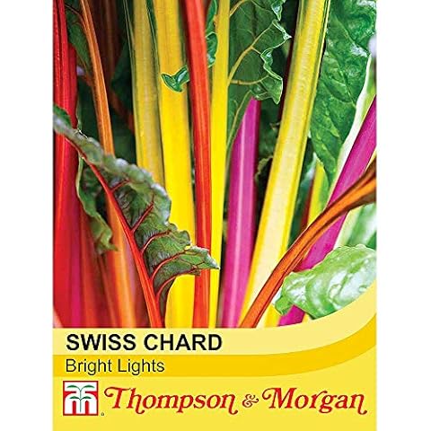 Thompson and Morgan Swiss Chard 'Bright Lights' Seeds Cover