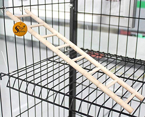 Sage Square Playful Natural Wooden Climbing Ladder Toy for Exercise & Fun, with Hooks, for Hamsters, Sugar Glider, Dwarf, Rat, Mice, Gerbil. (Design 5) 4