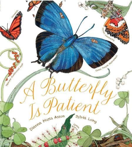 Chronicle Books Butterfly Is Patient