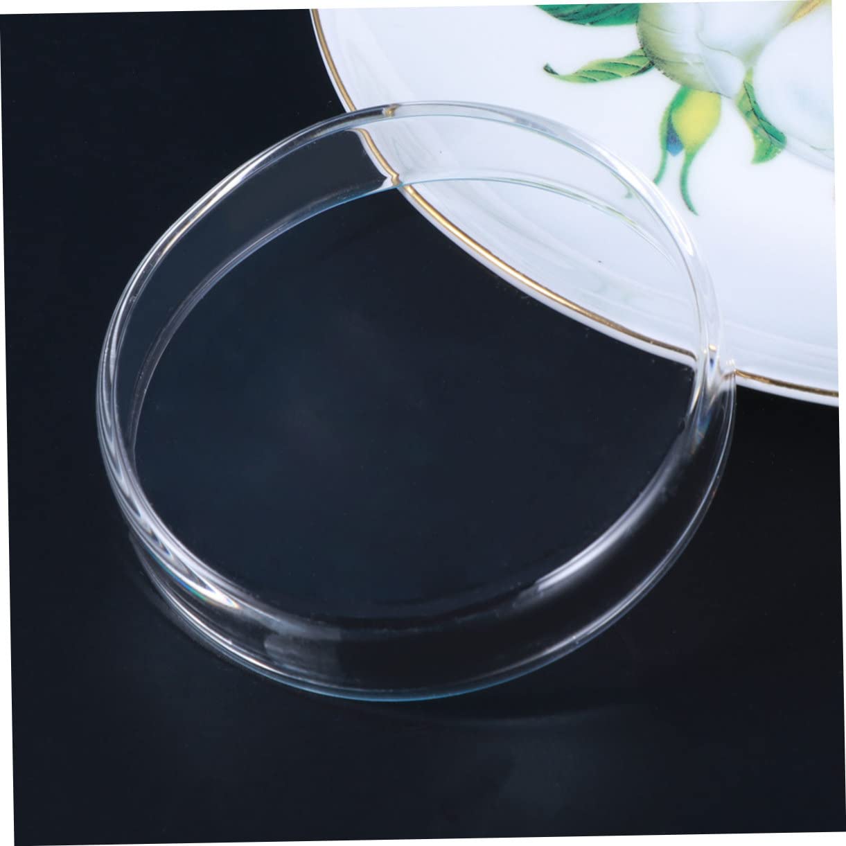 Mipcase 3pcs Clear Shrimp Feeding Dish-Glass Aquarium Accessories Glass Fish Tank Feeding Bowls Freshwater Tray Feeder - Image 4