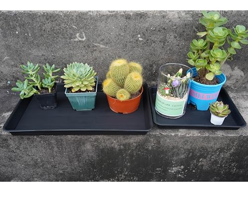 Vuwez 4 Pack Plant Saucer Tray Rectangular thumb #5