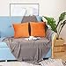 sykting Decorative Pillow Covers Solid Super Soft Short Plush Fuzzy Throw Pillow Covers for Bed Couch Chair Pack of 2 Square 18x18 inch Orange
