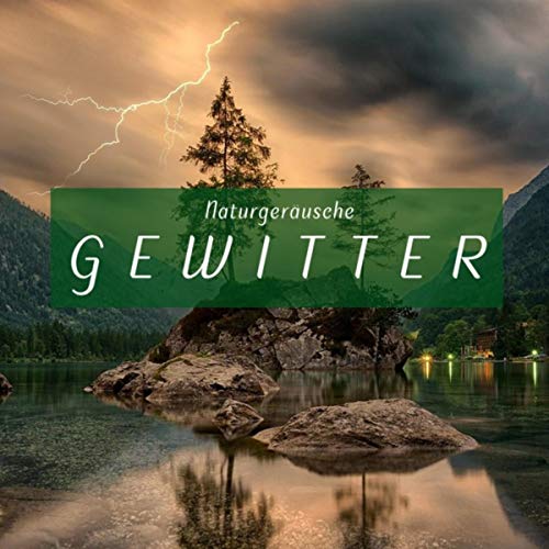 Regengeräusche Orchester von TraxLab