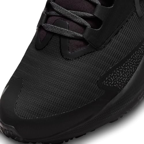 Nike Nike Women's Air Zoom Pegasus 39 ShieldSneaker, Black Black Off Noir Dk Smoke Grey, 8 US
