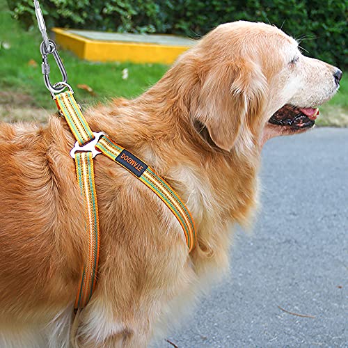Tresbro 30Ft Reflective Dog Tie Out Cable For Dogs Up To 250 Pounds, Steel Wire Dog Leash Cable With Stainless Dual Fix Buckle, Lightweight And Durable, Dog Chains Outside For Outdoor,Yard,Camping #TOP5