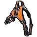 LuckyPet Sport Harness for Dogs - Reflective, Durable, Weatherproof, Adjustable, Size: Medium, Color: Safety Orange