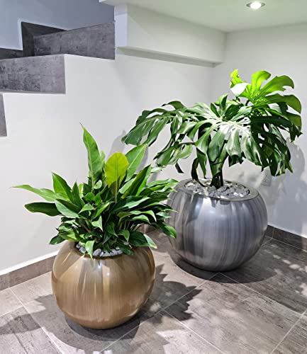 Macetas, Home maceta fibra vidrio Marca Green Boutique (3)