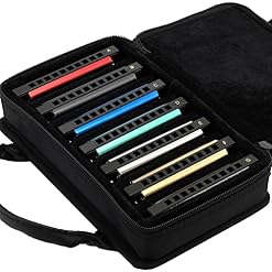 East top Paquet de 7 Harmonicas Blues Diatonique 10 trous Ensemble professionnel avec 7 touches emballées, A, B, C, D, E… - Les Beatles, Paul McCartney, John Lennon, RIngo Starr, George Harrison East top Paquet de 7 Harmonicas Blues Diatonique 10 trous Ensemble professionnel avec 7 touches emballées, A, B, C, D, E… – Image 4