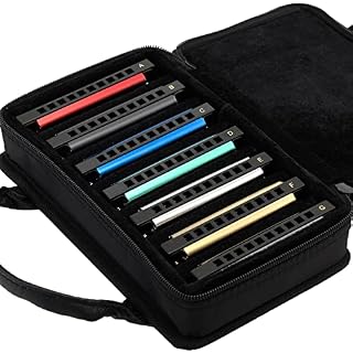 East top Paquet de 7 Harmonicas Blues Diatonique 10 trous Ensemble professionnel avec 7 touches emballées, A, B, C, D, E… - Les Beatles, Paul McCartney, John Lennon, RIngo Starr, George Harrison East top Paquet de 7 Harmonicas Blues Diatonique 10 trous Ensemble professionnel avec 7 touches emballées, A, B, C, D, E… – Image 4