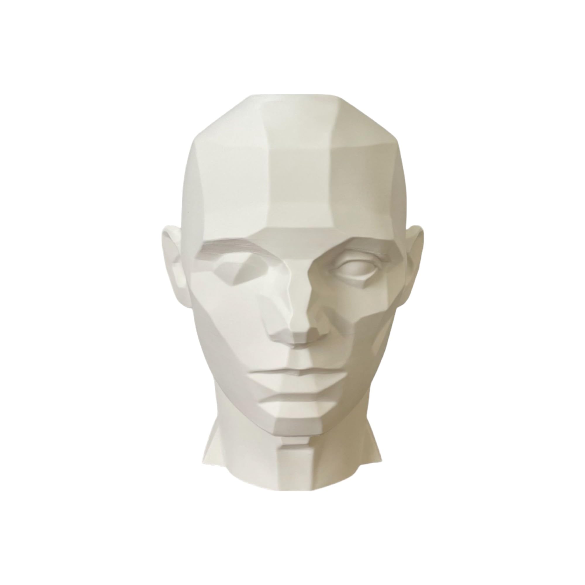 John Asaro Style Planar Head size XL, color white, 10" inches 25.4 cm Planar Bust, made 100% in the US and ships sameday, Learn the Planes of the Head, Human head for Medical and Artistic Drawing.