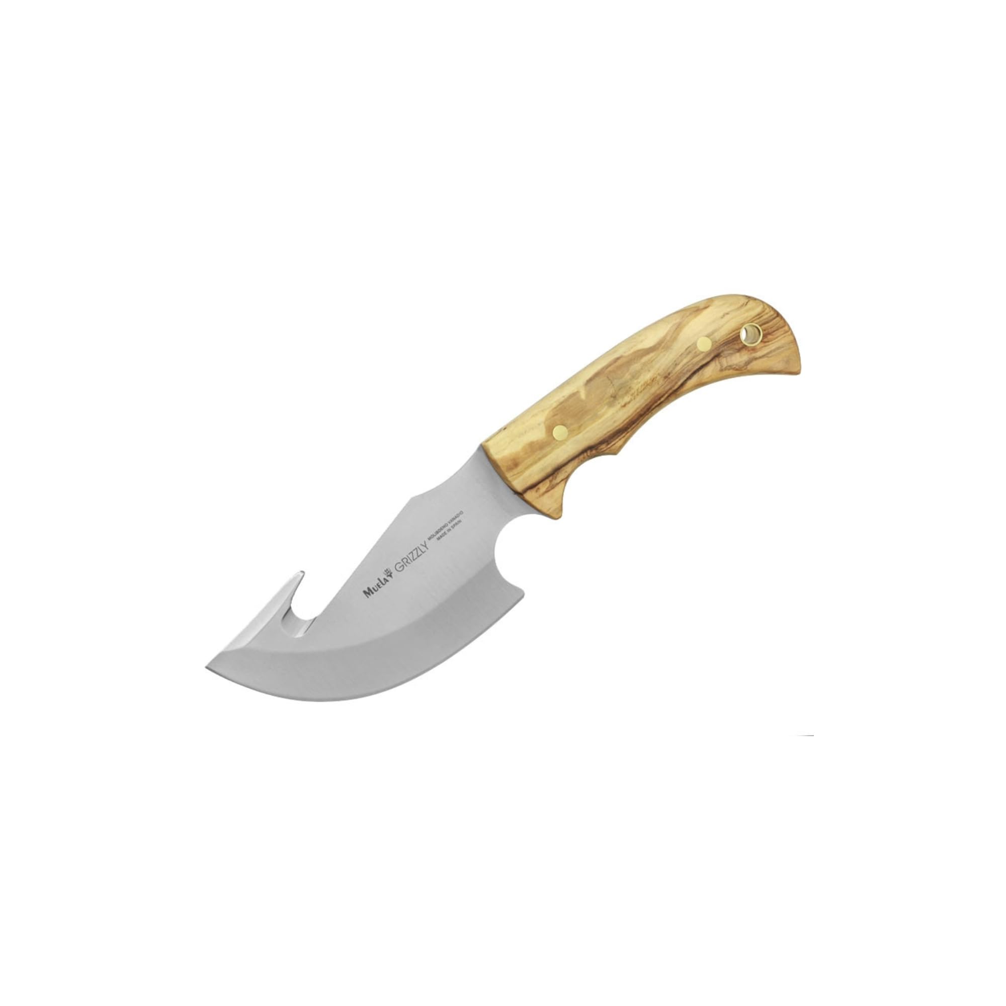 Cuchilleria Deportiva MUELA. Cuchillo desollador Muela GRIZZLY-12.OL. Mango de Olivo. Hoja: 12 cm. Funda de Cuero. Herramienta para Caza