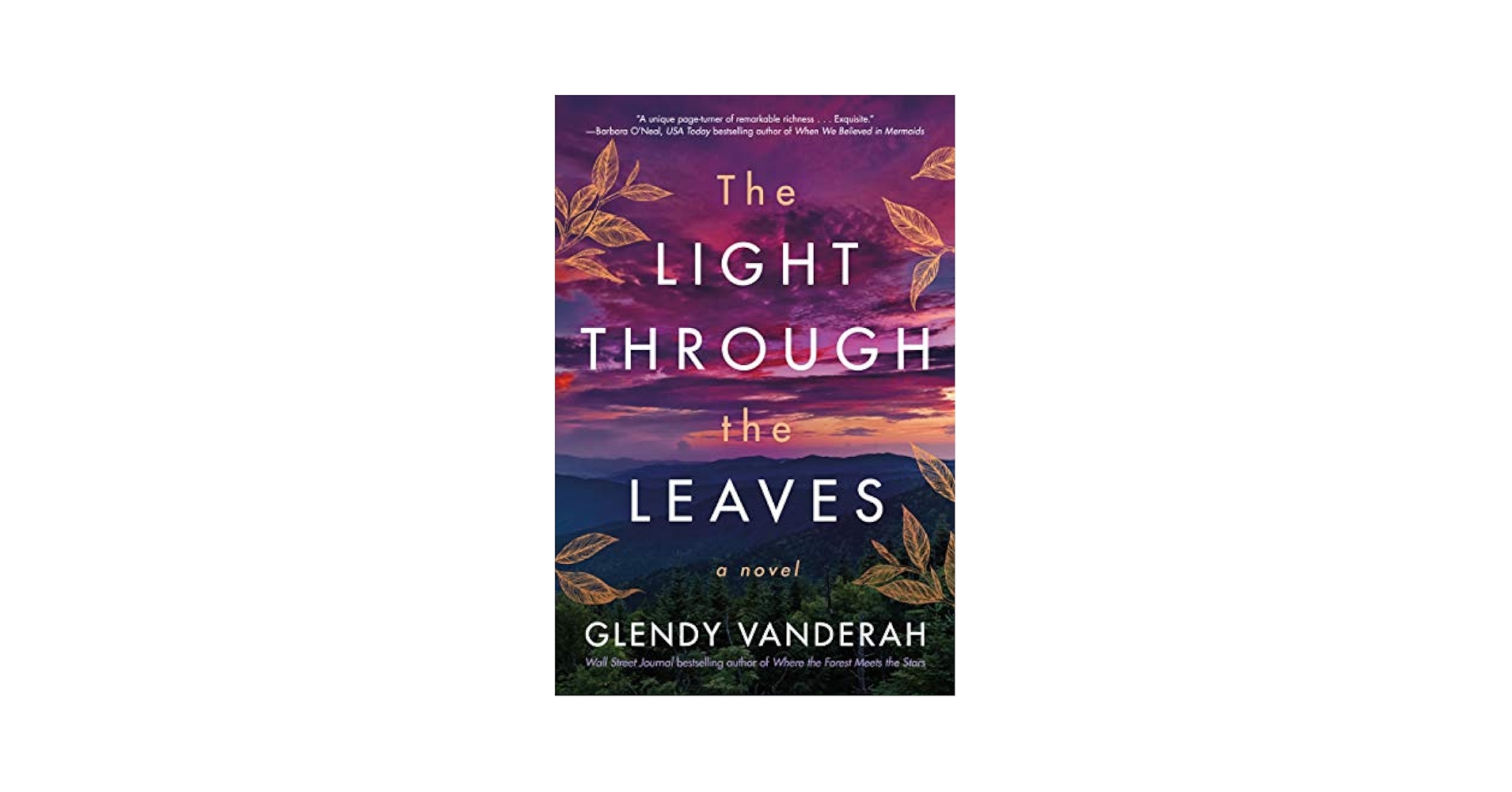 洋書 I HEAR THE LEAVES AND LOVE THE LIGHT I HEAR THE LEAVES AND LOVE THE LIGHT by Robert Adams [SIGNED