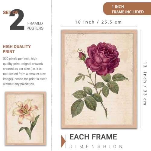 Image of YANVEER Botanical Wall Art Painting | Wall Frames For Home Decor Office Living Room | Poster With Frame Wall Decoration Painting | Premium Art Framed Wall Painting For Home Decor | Set of 2 (10X13 inch)
