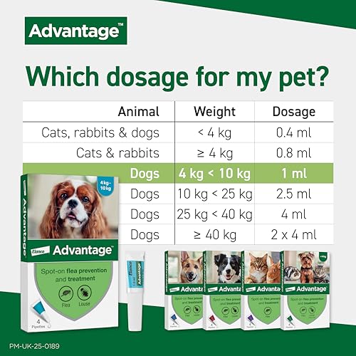 Advantage Spot On Flea Treatment For Medium Dogs 4 - 10 kg (4 pipettes, 100mg), Kills Fleas Within 24 Hours, Prevents Further Infestation For Up To Four Weeks - Image 3