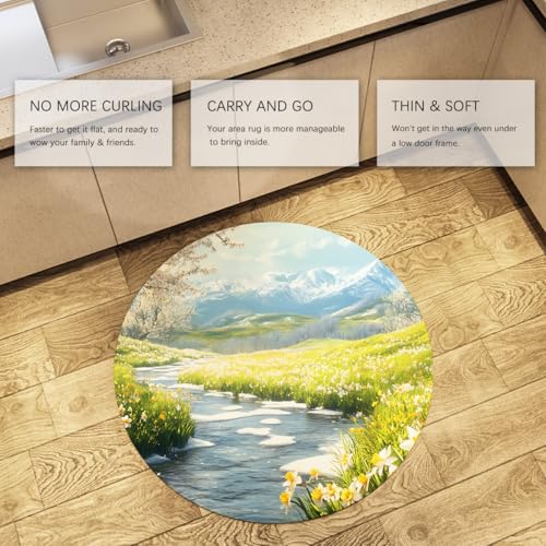 Tapis rond moderne 240cm tapis de sol de salon doux mince et lavable