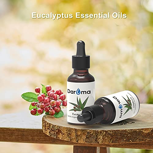 Aceite esencial de Eucalipto Daroma 20 ml miniatura 2