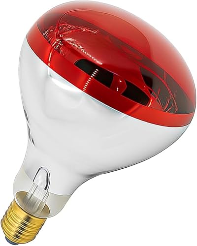 Seentech 250W R40 Heat Lamp Bulb (Red, 1-Pack)