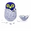 Hatchimal Draggle purple/blue