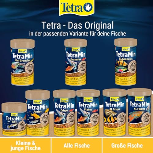 TetraMin Mini Granules - langsam absinkendes Fischfuter für kleine Zierfische wie z.B. Salmler und Barben, 100 ml Dose